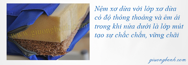 Nệm xơ dừa