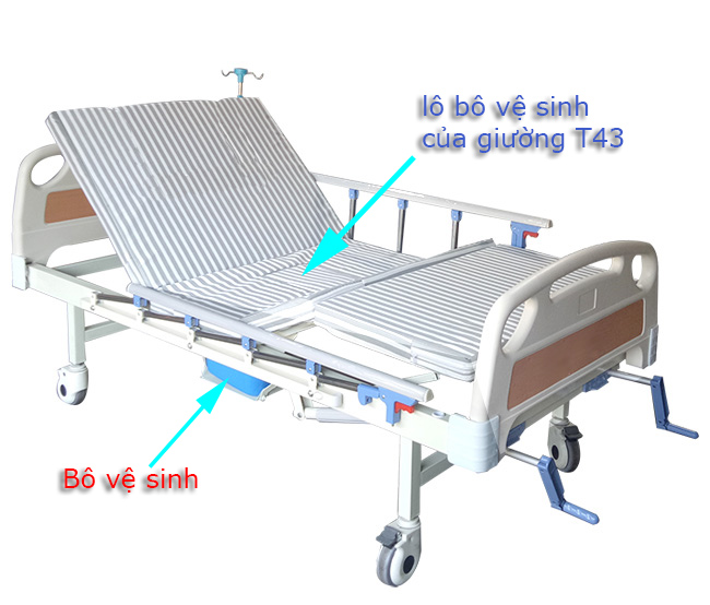 Giường bệnh Lucass Gb-T43